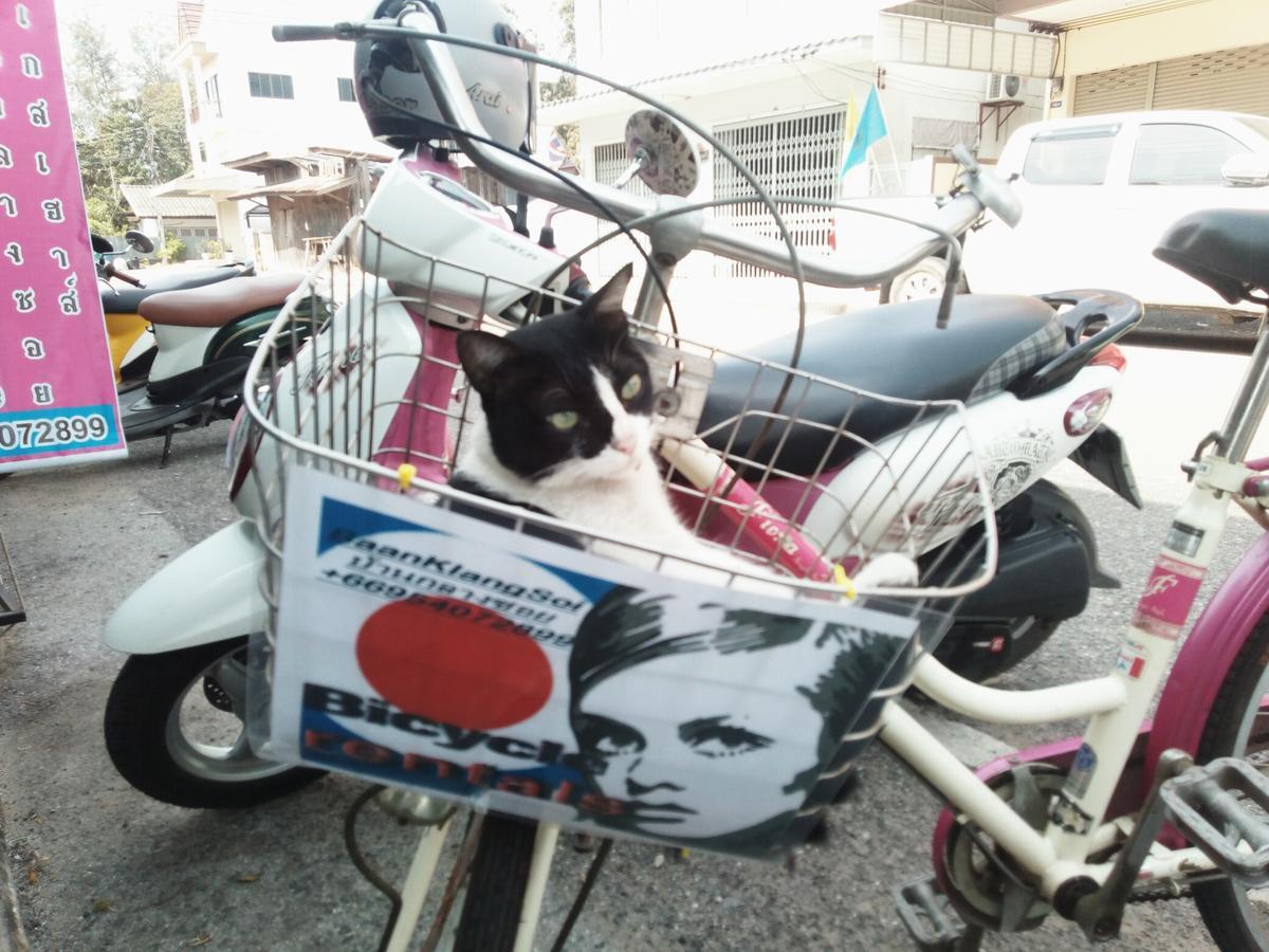 Baan Klang Soi Hotel Prachuap Khiri Khan Bagian luar foto